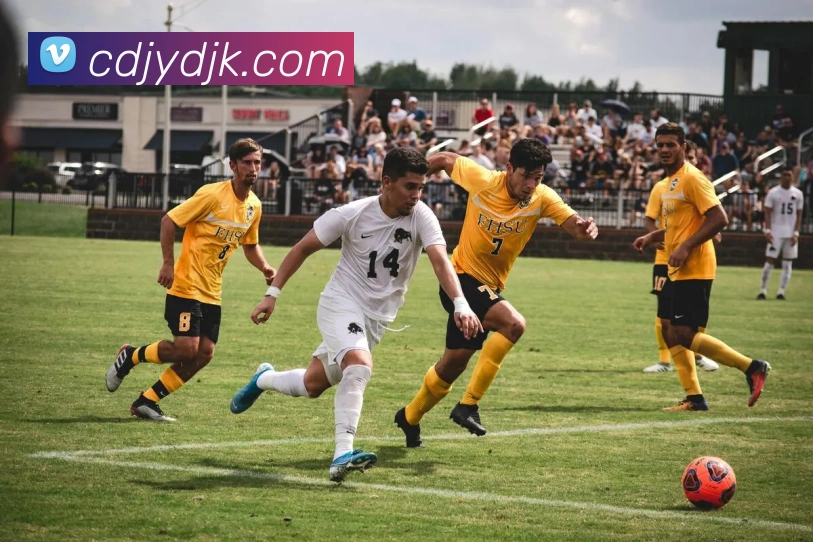 信誉好的平台品牌故事